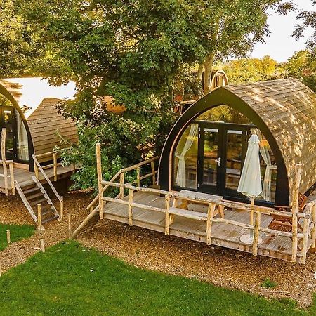 Boomhuis Met Optioneel Wellness - Vakantiepark De Schreiershoek Dokkum Dış mekan fotoğraf