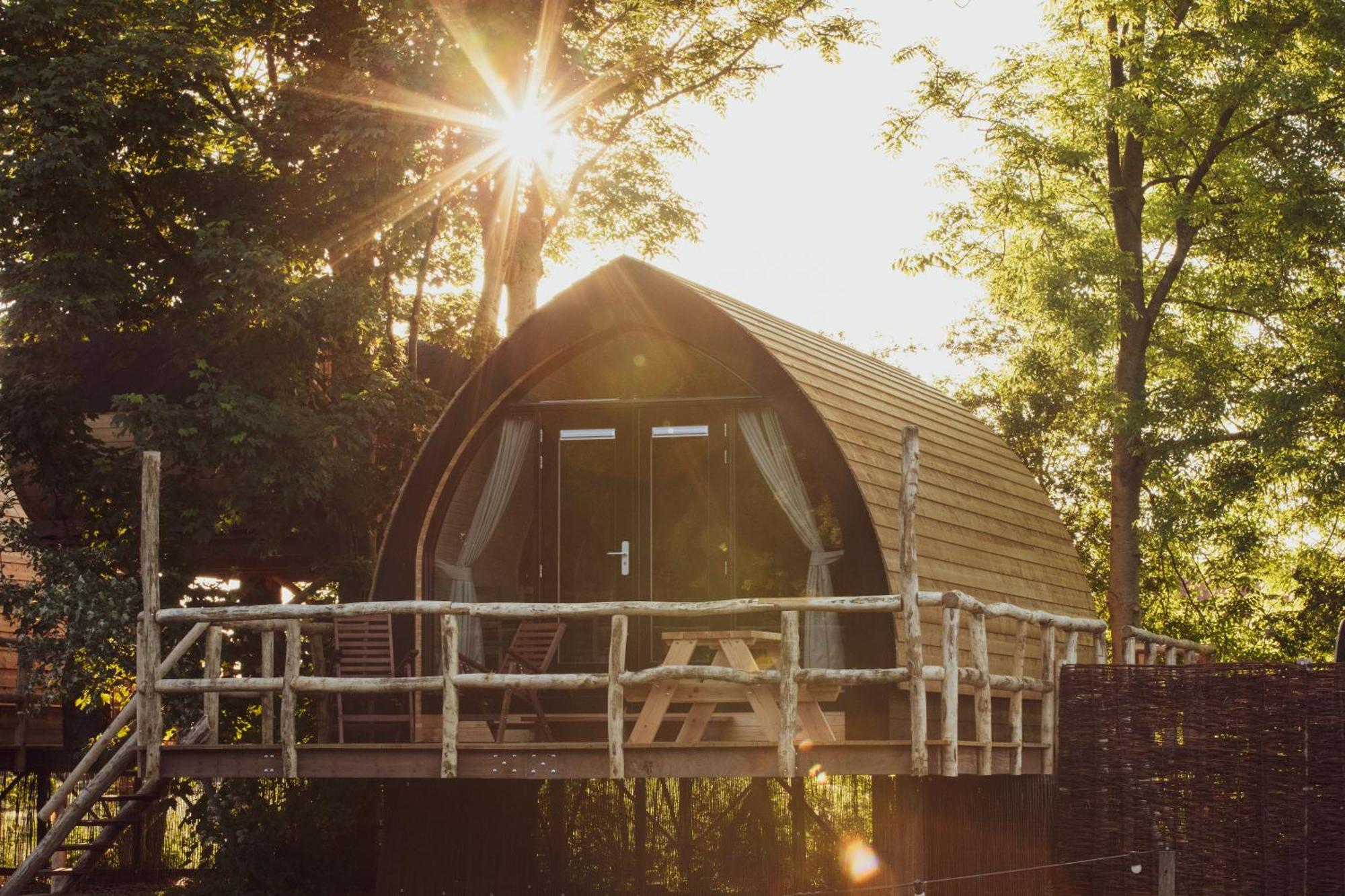 Boomhuis Met Optioneel Wellness - Vakantiepark De Schreiershoek Dokkum Dış mekan fotoğraf