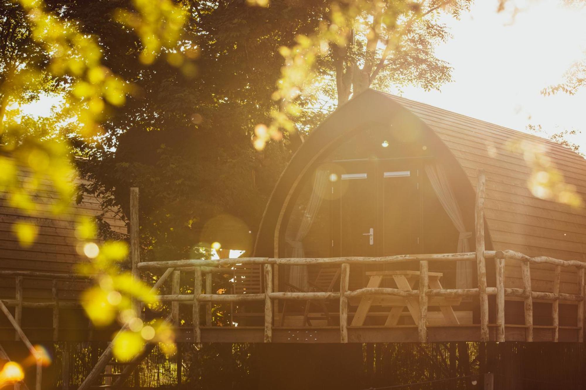 Boomhuis Met Optioneel Wellness - Vakantiepark De Schreiershoek Dokkum Dış mekan fotoğraf