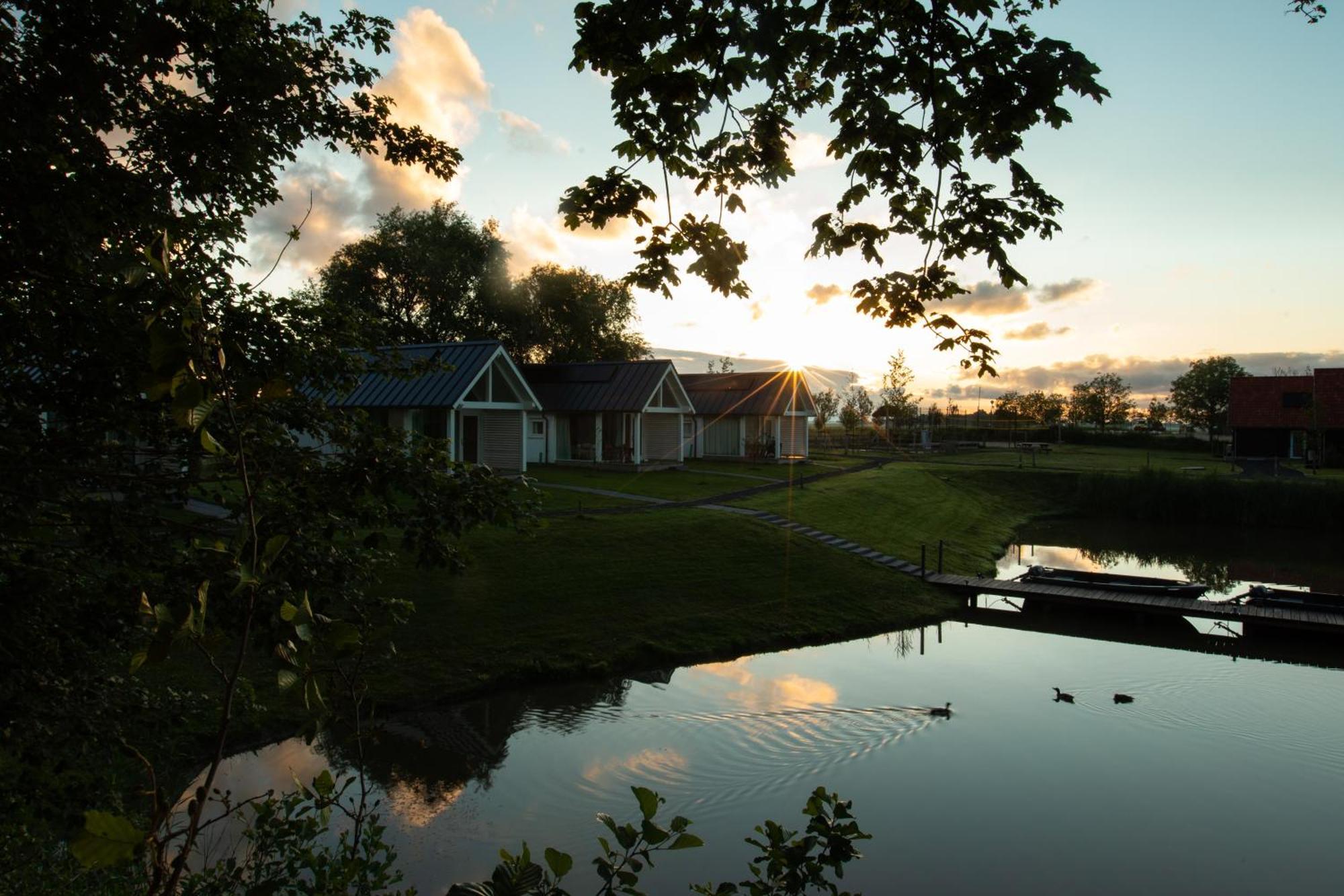 Boomhuis Met Optioneel Wellness - Vakantiepark De Schreiershoek Dokkum Dış mekan fotoğraf